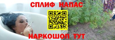 эйфоретик Тара