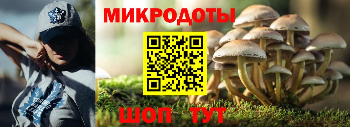 Галлюциногенные грибы Psilocybe  Вход с VPN  Балашиха 
